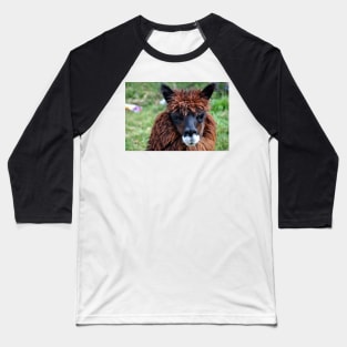 Lama du Pérou Baseball T-Shirt